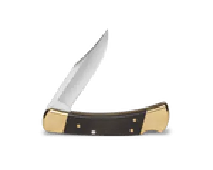 Buck 110 Hunter Knife